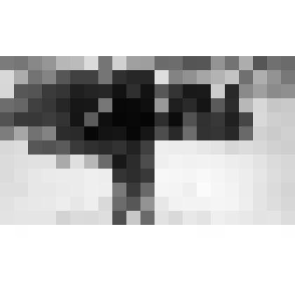 Серия фотографий с авторской фотовыставки "Мой взгляд". Фото цв. Зимний праздник. 1987 г