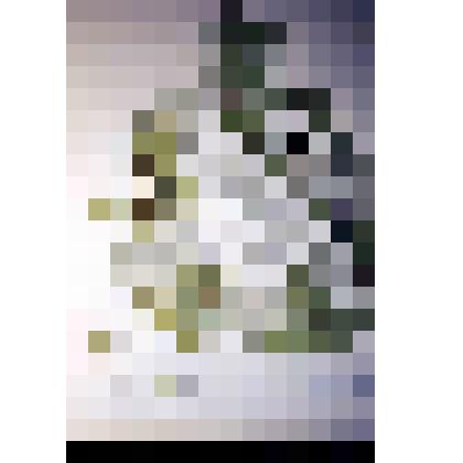 Диапозитив. Организация отдыха населения в лесопарковом защитном поясе. (187)