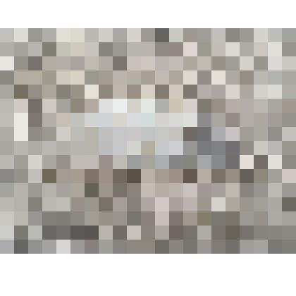 Фрагмент медальона немецкого