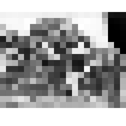 Негатив (стекло). Дача фабриканта Гусева Н.Е. д. Зименки Шуйского р-она