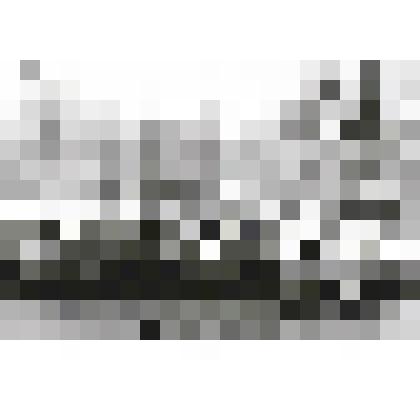 Фотография. Олени