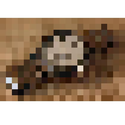 Часы наручные механические "Слава" Палькина Н.Е