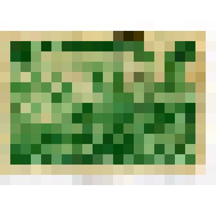 Марка 60 коп., "Снайперы М. Поливанова и Н. Ковшова", из альбома I. Герои Советского Союза