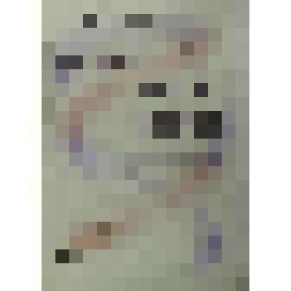 Плакат. Афиша выставки книг и проектов художника В. Гоппе "Бумаги татуированные" в библиотеке иностранной литературы им. М.И.Рудомино в г. Москве