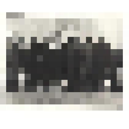 Фотографии. Фото. Шушеначев И.В. (в первом ряду второй слева). Проводы делегатов Хакасии на съезд профсоюзов СССР