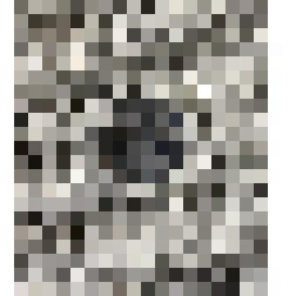 Монета достоинством 10 шекелей