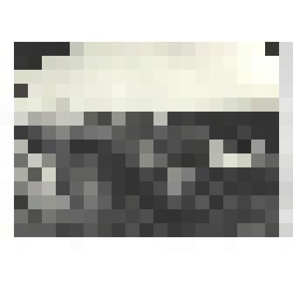 Фотографии. Фото ч/б. Брестская крепость в день освобождения от фашистов