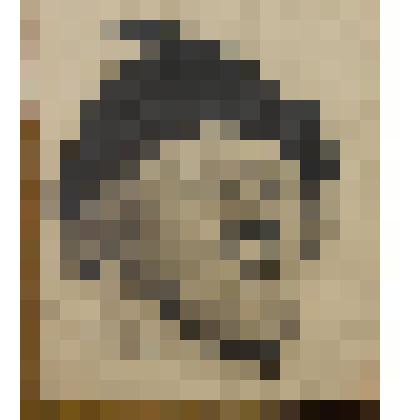 Голова пожилой женщины