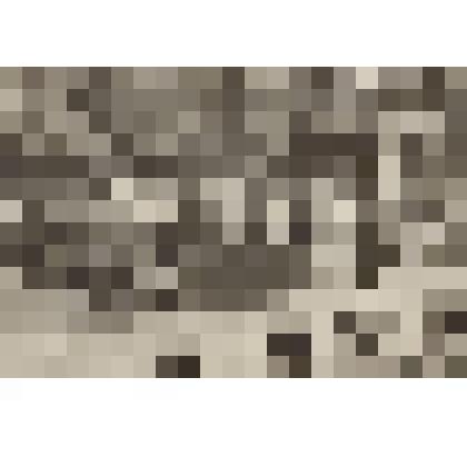 Фотография. Дмитрий Иванович Иванов и С.П. Гутарев и офицеры воинской части на военной присяге. г.Львов. Холм славы