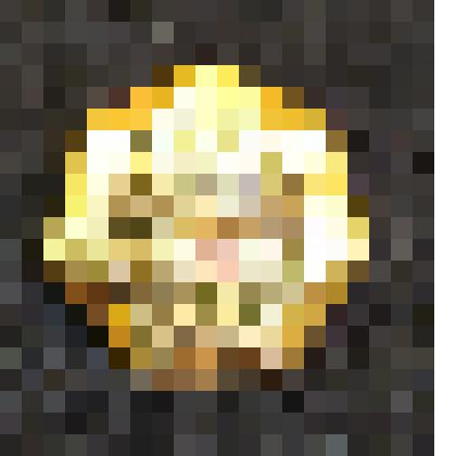 Значок «9 класс», из коллекции фалеристической "Лениниана"