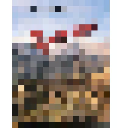 Книга. Мещеряков Ю.А. Хроники афганской войны