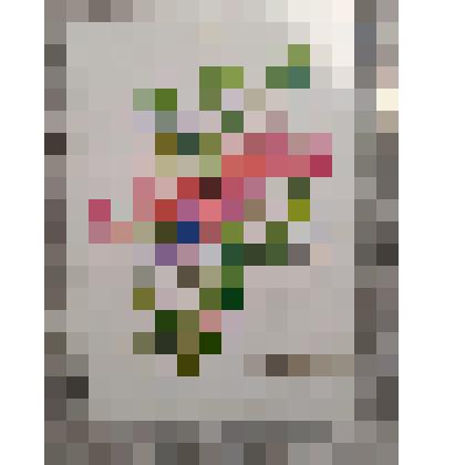 Открытка " Поздравляю!"