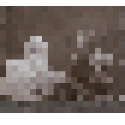 Л.Н.Толстой и Лев Рыжий