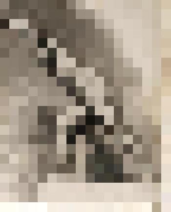 Боргезский боец