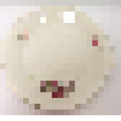 Сервиз чайный на 12 персон. Блюдо