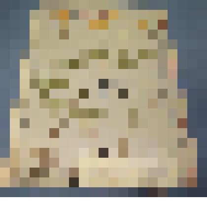 Ботаническая коллекция. Ветреница лесная, на гербарном листе, Абакан, северный склон Самохвала. Ranunculaceae Anemone sillvestres Z