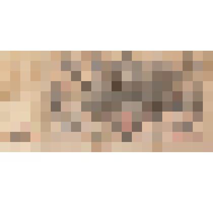 Кредитный билет