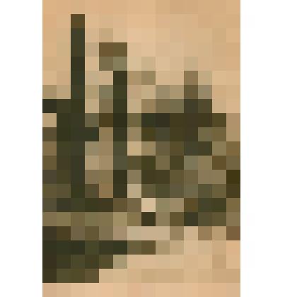 Дача в Сочи А.В.Якобсона. Ныне административный корпус санатория «Светлана». Почтовая карточка издательства «Изогиз»