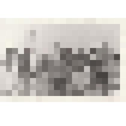 Фотография сюжетная. Братская могила в д. Карабусель Мгинского района Ленинградской области. Почтить память отца, участника ВОВ Сальникова Василия Андреевича приехал сын - Сальников Геннадий Васильевич