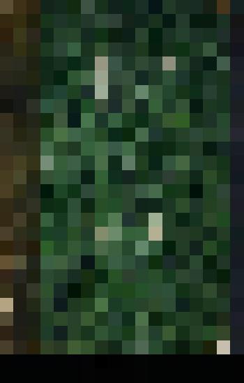 Книга. Erpétologie géneral ou histoire naturelle complète des reptiles