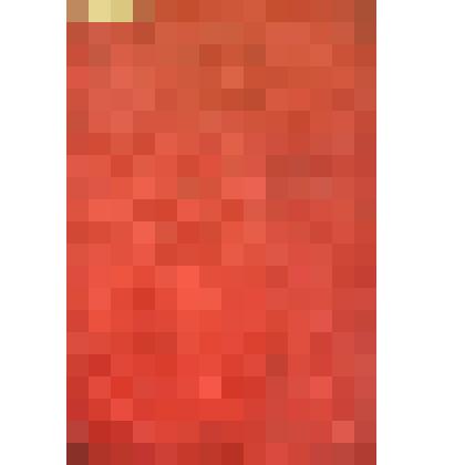 Книга "Четвертая сессия Верховного Совета АССР Немцев Поволжья". Издание Верховного Совета АССР НП. 20 - 21 мая 1941 г