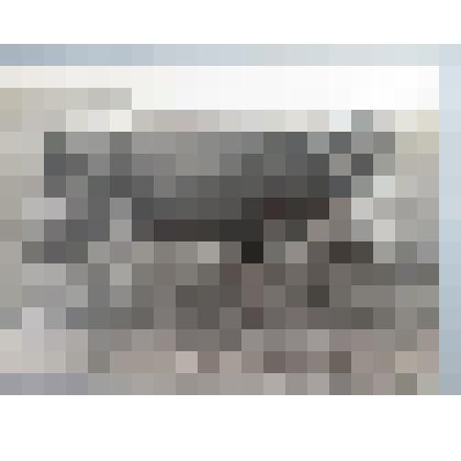 Фотография.  "Нежка"