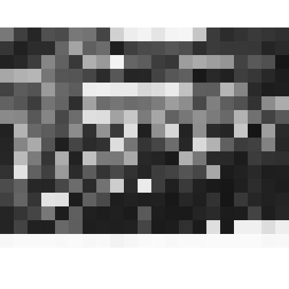 Фотография. Коммунисты Кубани на 26 съезде КПСС. На фото очень большая группа людей собравшихся в большом концертном зале