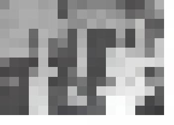 Фотография. Фотокопия. Саечный цех комбината Крайсо. 1936г