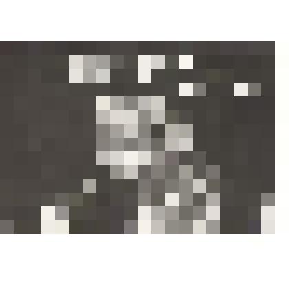 Илюхина И.М., Новосовхозный ХПП, 10 разъезд