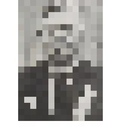 Фотография. Гатин Салих Гатович  - участник Вов, Кавалер ордена Красной Звезды