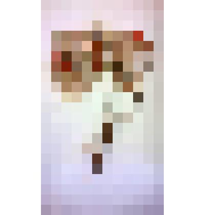 "Ветви рябины из бисера "