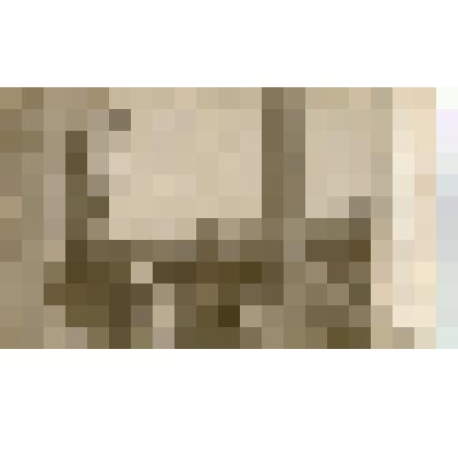 Фотография. Антон Павлович Чехов и Лев Николаевич Толстой. Ясная поляна