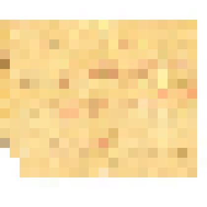 Мандат №1588 о том, что члену Каменского Уездного Совета Юлии Алексеевне Минераловой, командированной в Москву Советом Народного Образования поручается войти в контакт с Центральным Исполнительным Комитетом для выяснения курса политики, а также получения