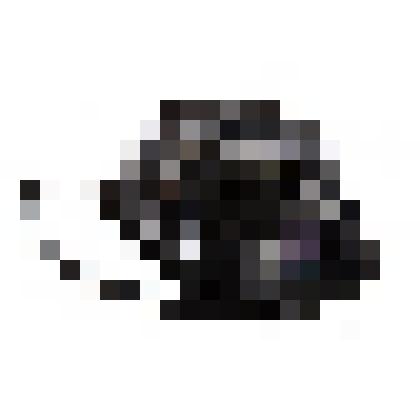 Фотоаппарат "Салют" - однообъективный зеркальный