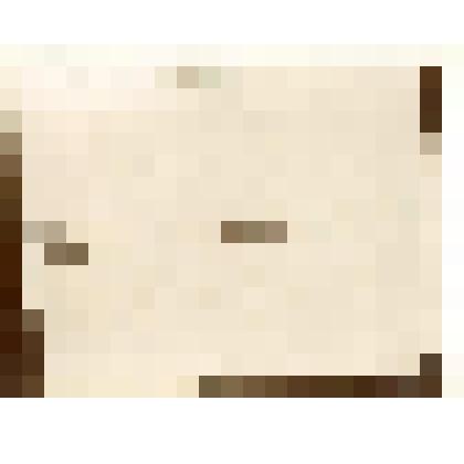 Фотография. Караван на собаках