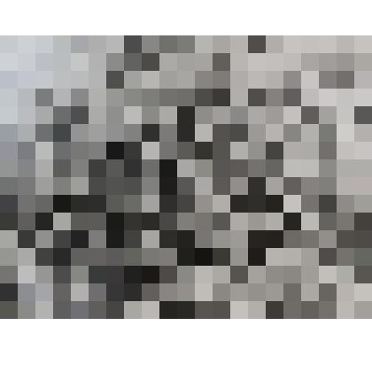 Фото Марина красильная  левый берег р. Онон, около моста