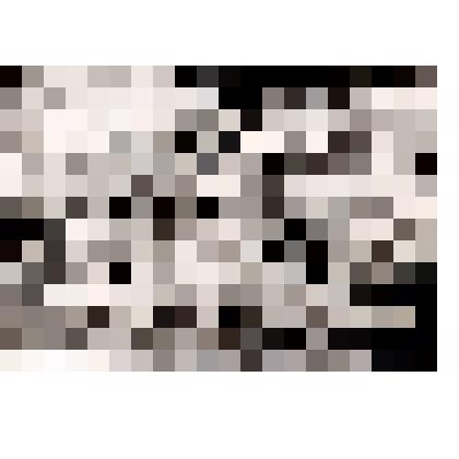 Фотография Детский сад 1 отделение  ст. Динская 1958 год