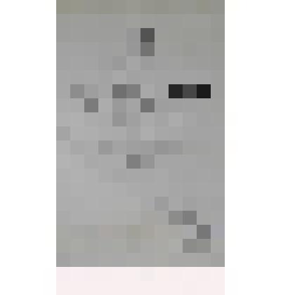 Свидетельство Вульфа Е.В. о принятии его действительным членом Императорского общества любителей естествознания, антропологии и этнографии