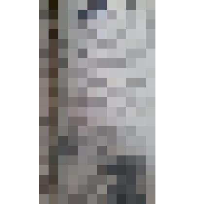 Газета "Адлерская правда"
№81 (3197) от 08.07.1960 г