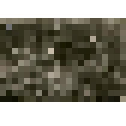 Фотография из фотоальбома Соврудники 1927-1929гг. - тайга, рабочие, драги