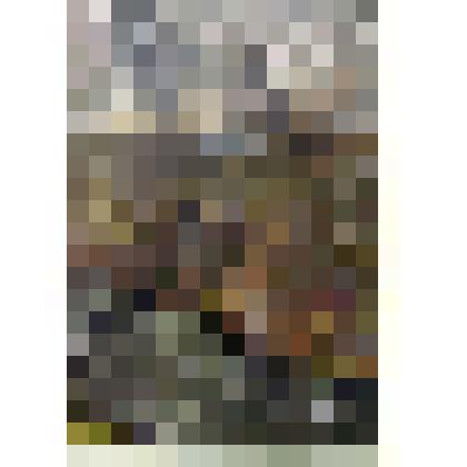 Камышенка в октябре