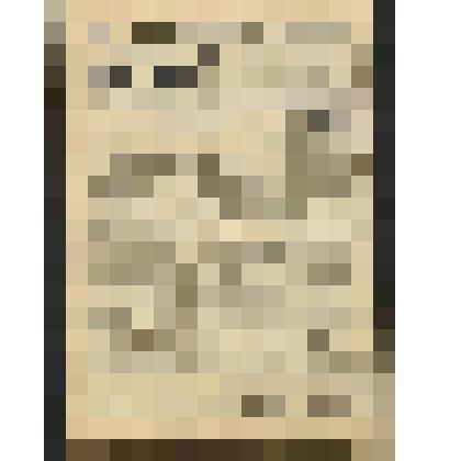 Газета. "Звезда" № 89