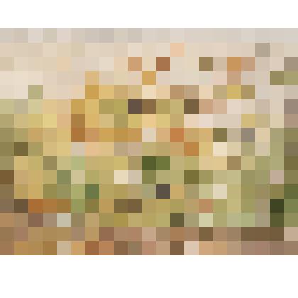 Из окна (Хоста)