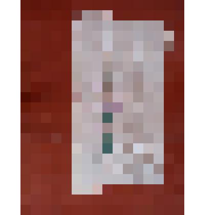 накомодник