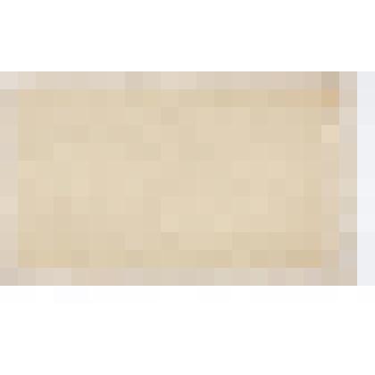 Конверт, в котором находились записки, поданные В.В. Маяковскому во время выступления в Ростове