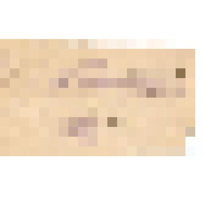 Документ. Мандат Лапотышкина А.В., делегата на заводскую конференцию