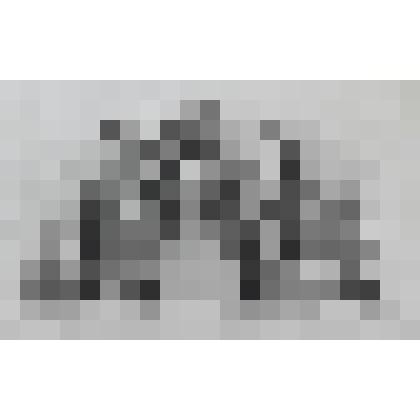 Портрет Шмолла