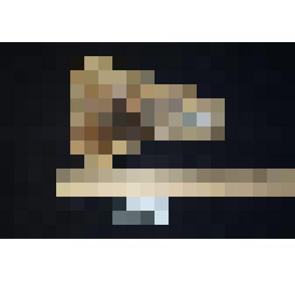 Суставная головка динозавра