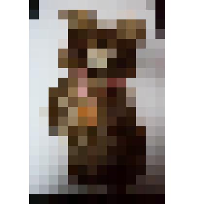 Настенное приспособление для хранения мелких предметов виде олимпийского медведя