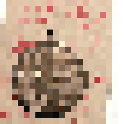 Медаль"Память святой коронации их императорских величеств